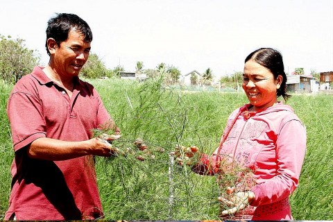 lang cham ngay cang khoi sac