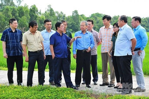 bo truong bo nn ptnt le minh hoan xay dung he sinh thai nganh lua gao cho tuong lai