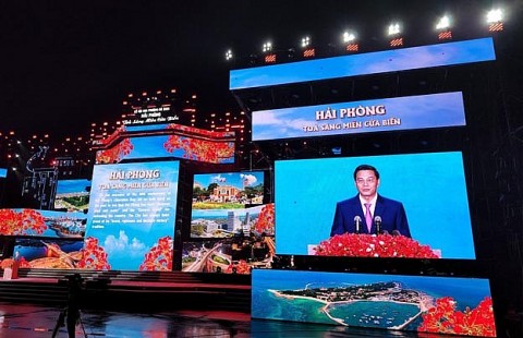 le hoi hoa phuong do hai phong va dau an 10 nam