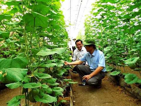 binh duong ung dung khoa hoc vao san xuat nong nghiep cong nghe cao