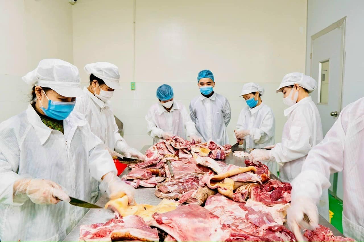 Giò Bê Đức Tuấn - điểm sáng cho sản phẩm OCOP xứ Nghệ Giò Bê Đức Tuấn - điểm sáng cho sản phẩm OCOP xứ Nghệ