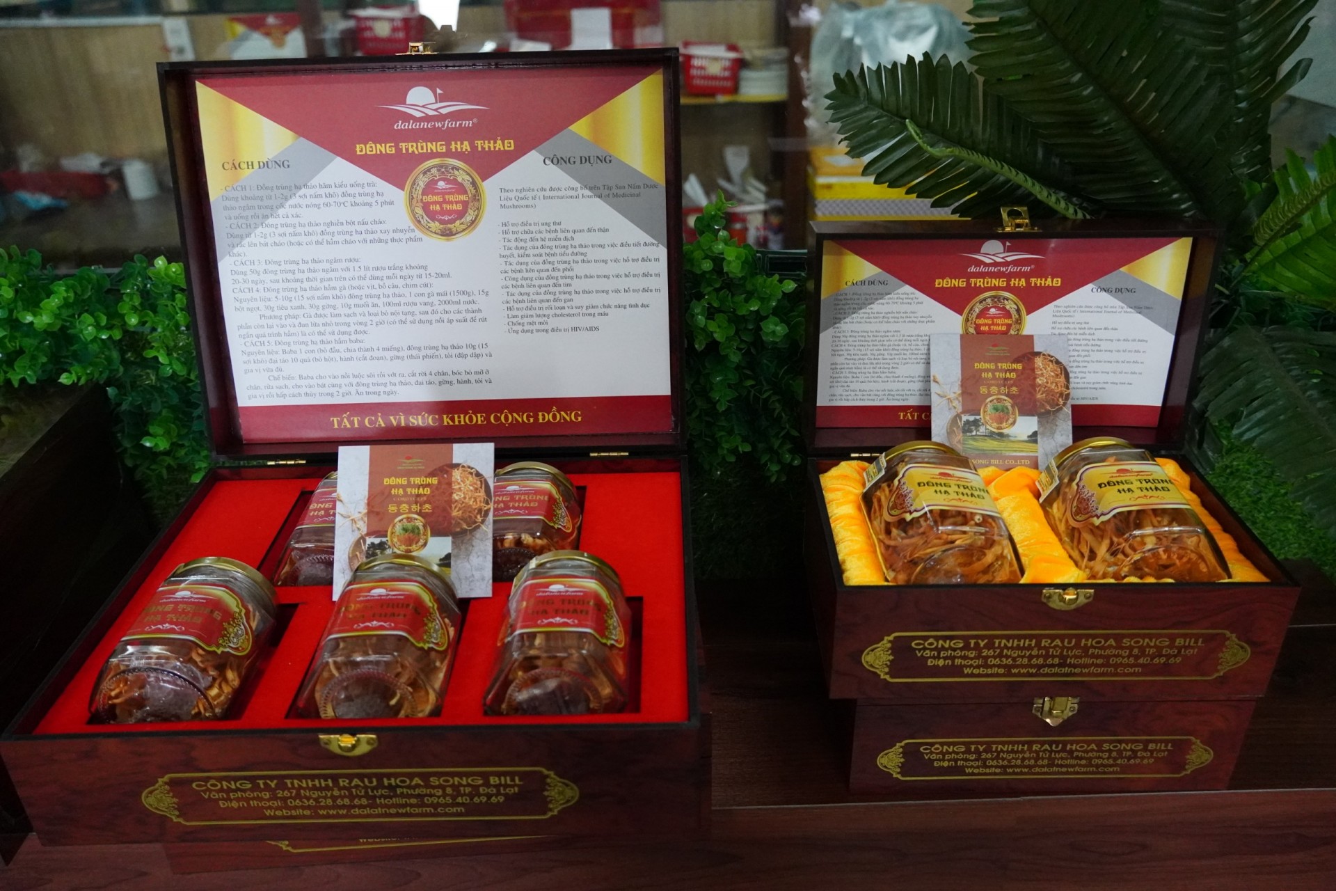 Lâm Đồng: Nỗ lực đưa sản phẩm dược liệu đến gần hơn với người tiêu dùng hinh 120230629113203 DALATNEWFARM