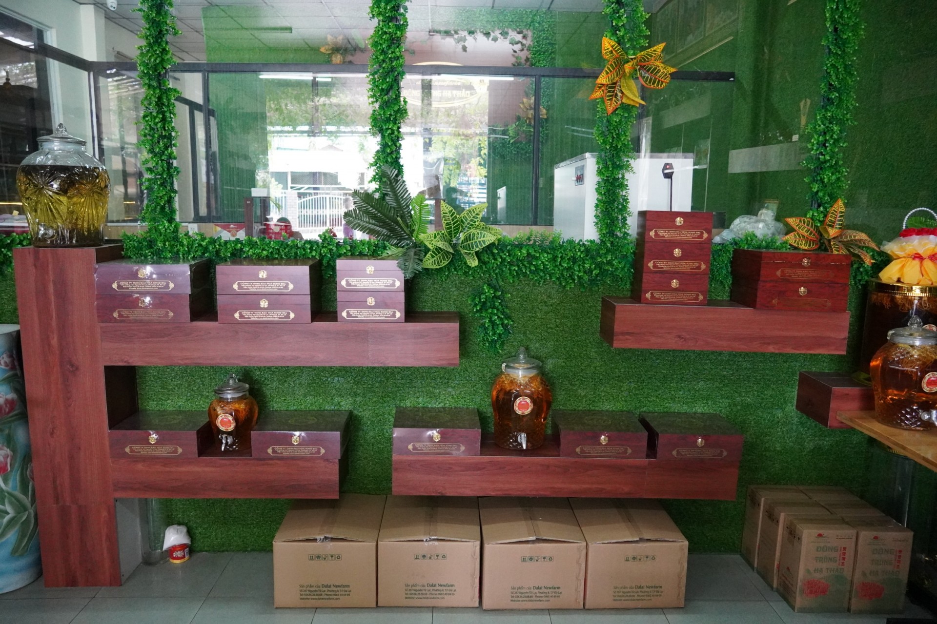 Lâm Đồng: Nỗ lực đưa sản phẩm dược liệu đến gần hơn với người tiêu dùng 2 DALATNEWFARM Lâm Đồng: Nỗ lực đưa sản phẩm dược liệu đến gần hơn với người tiêu dùng