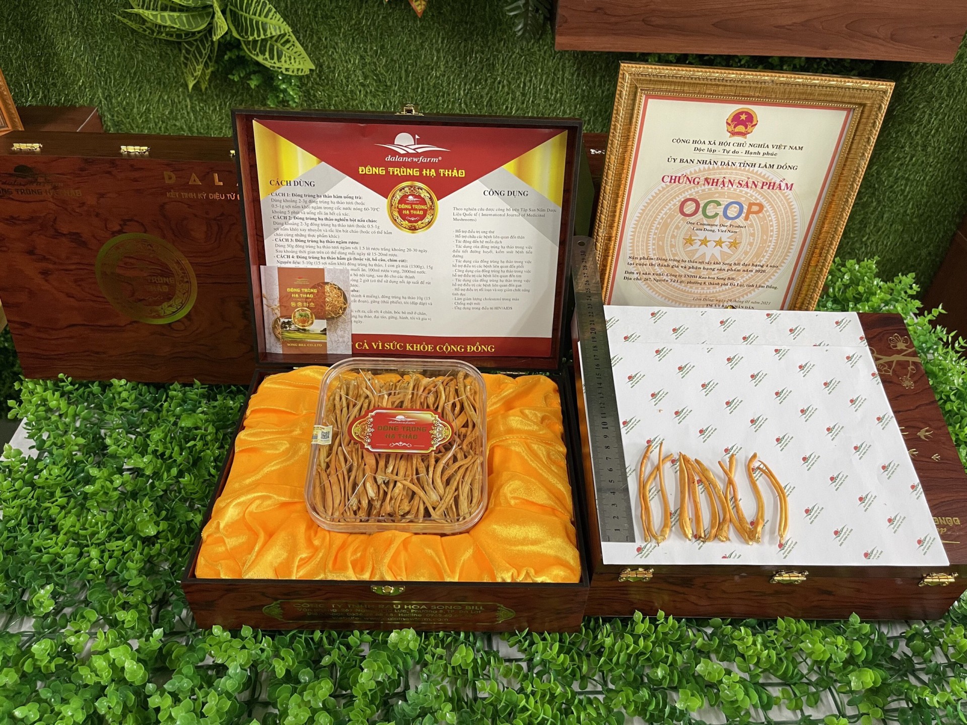 Lâm Đồng: Nỗ lực đưa sản phẩm dược liệu đến gần hơn với người tiêu dùng 3 DALATNEWFARM Lâm Đồng: Nỗ lực đưa sản phẩm dược liệu đến gần hơn với người tiêu dùng