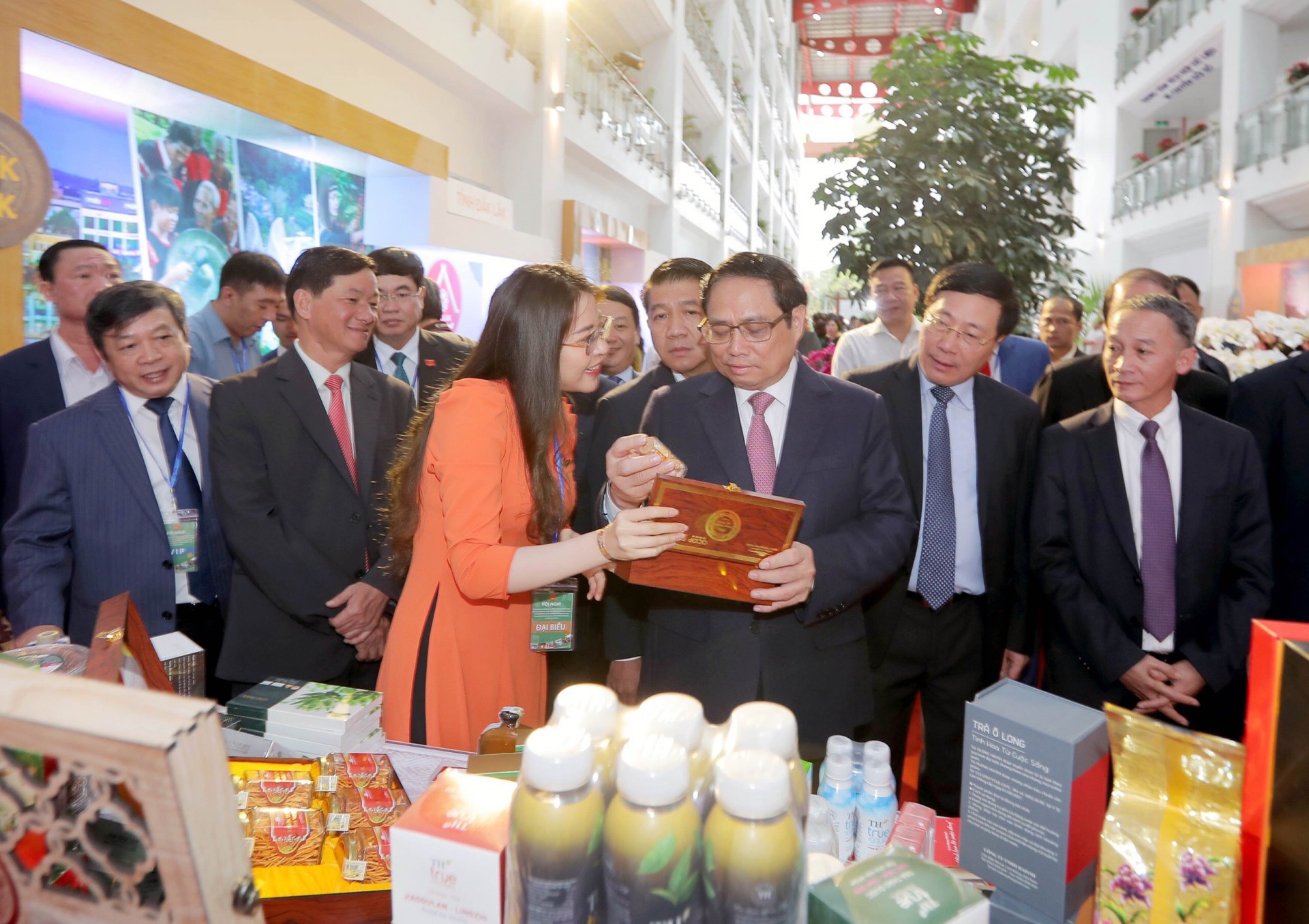 Lâm Đồng: Nỗ lực đưa sản phẩm dược liệu đến gần hơn với người tiêu dùng 6 DALATNEWFARM Lâm Đồng: Nỗ lực đưa sản phẩm dược liệu đến gần hơn với người tiêu dùng