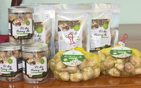 thai binh phat trien kinh te nong thon qua chuong trinh ocop