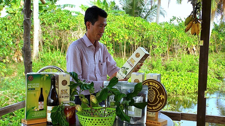 Anh Khưu Văn Chương và gia đình đầu tư công nghệ, sản xuất ra nhiều sản phẩm nước uống từ trái nhàu.