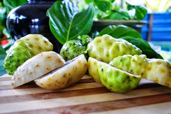 Kỹ sư biến cây dại thành sản phẩm OCOP