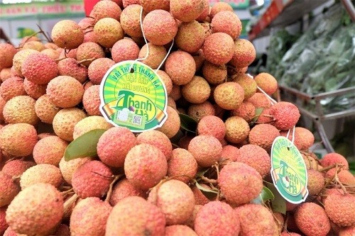 Huyện Thanh Hà phấn đấu xây dựng nhiều sản phẩm OCOP chất lượng Huyện Thanh Hà phấn đấu xây dựng nhiều sản phẩm OCOP chất lượng