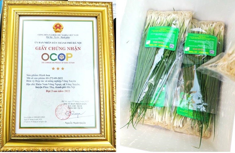 ản phẩm hành hoa được UBND TP Hà Nội cấp chứng nhận OCOP 3 sao năm 2022
