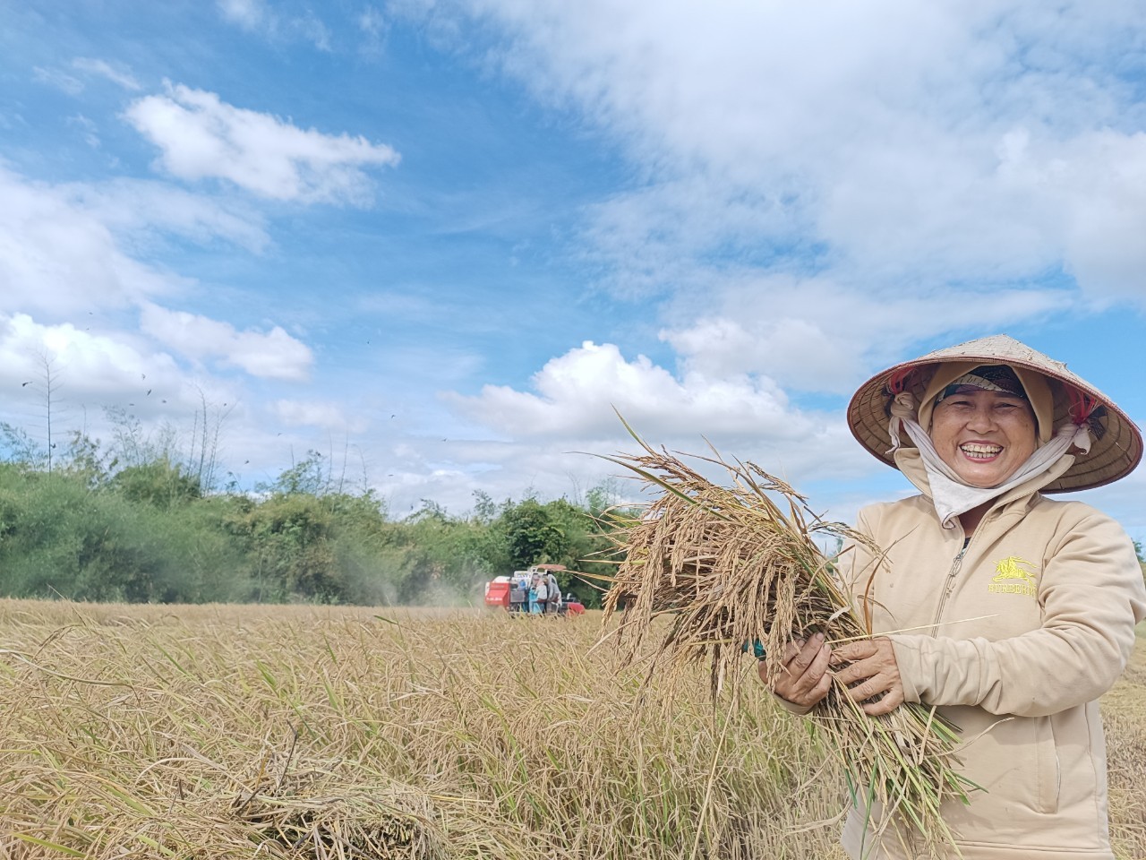 HTX đã cùng nông dân trao đổi, chia sẻ và động viên nhau vượt qua những khó khăn trong quá trình sản xuất, kinh doanh HTX đã cùng nông dân trao đổi, chia sẻ và động viên nhau vượt qua những khó khăn trong quá trình sản xuất, kinh doanh