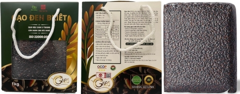 Gian nan canh tác gạo lứt đen Đắk Lắk