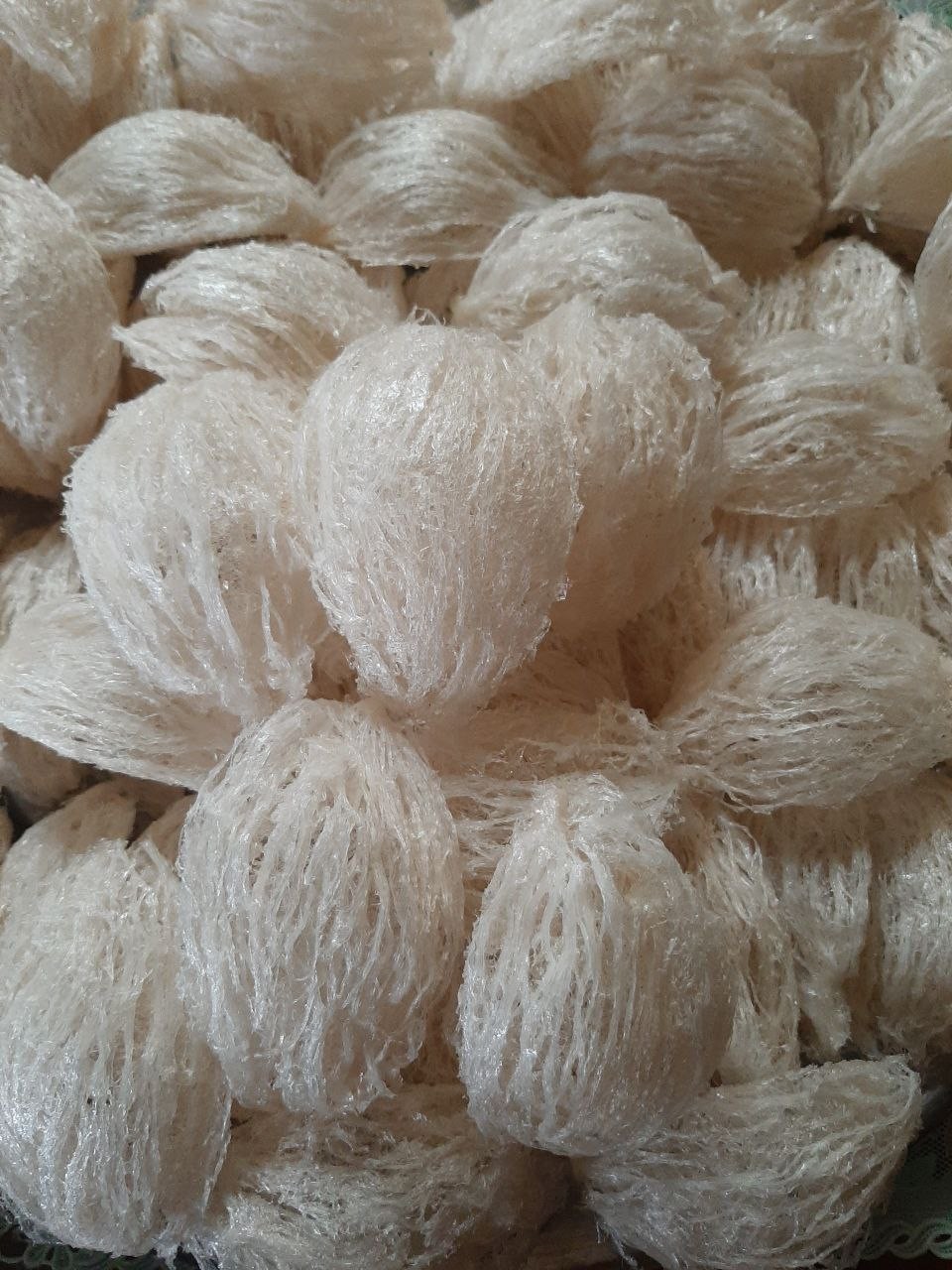 Yến sào Gia Lai - Sản phẩm đang phát triển