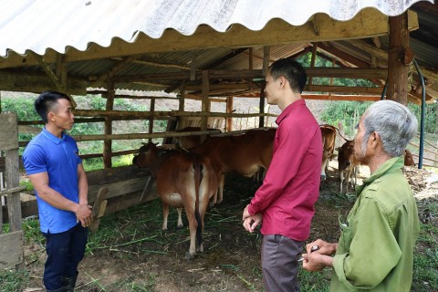 quyet tam thoat ngheo cua chang trai kho mu