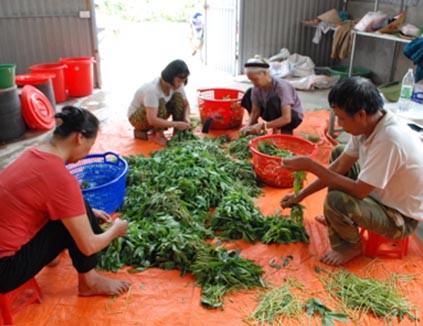 Công nghệ số chìa khóa mở cánh cửa nông nghiệp hiện đại