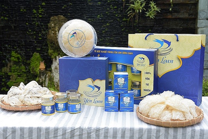 THÀNH CÔNG KHỞI NGHIỆP VỚI NGHỀ NUÔI CHIM YẾN