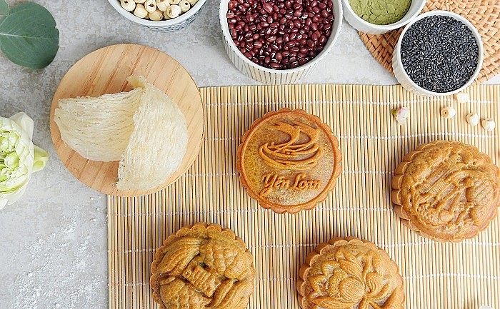 THÀNH CÔNG KHỞI NGHIỆP VỚI NGHỀ NUÔI CHIM YẾN