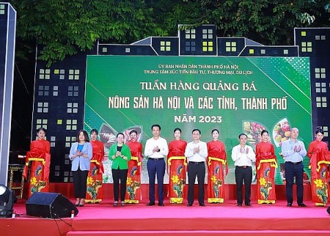 tuan hang quang ba nong san ha noi va cac tinh thanh pho nam 2023