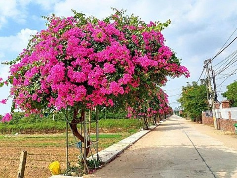 thuong tin phat huy the manh lang nghe trong xay dung nong thon moi