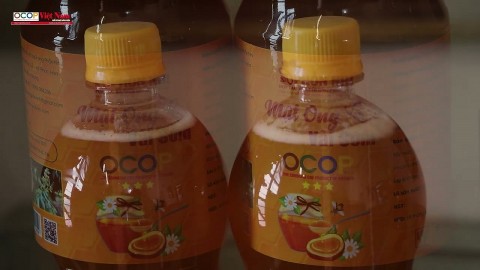 tinh hoa dat troi trong tung giot mat