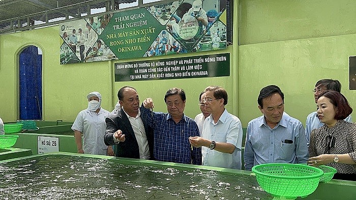 Bộ trưởng Bộ Nông nghiệp và Phát triển nông thôn Việt Nam Lê Minh Hoan đến tham quan nhà máy sản xuất rong nho biển Okinawa của Công ty DT Food Bộ trưởng Bộ Nông nghiệp và Phát triển nông thôn Việt Nam Lê Minh Hoan đến tham quan nhà máy sản xuất rong nho biển Okinawa của Công ty DT Food
