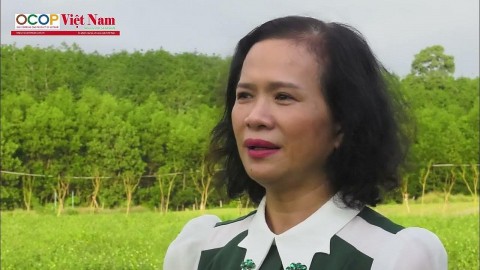 ca gai leo duoc lieu quy tren vung go doi