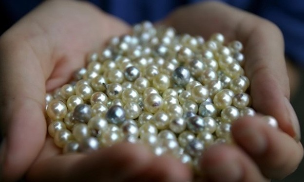 Quảng Ninh: Chính sách hỗ trợ phát triển làng nghề và sản phẩm OCOP Quảng Ninh: Chính sách hỗ trợ phát triển làng nghề và sản phẩm OCOP