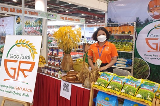 Gạo ruộng rươi, sản phẩm OCOP của thị xã Đông Triều tham gia Hội chợ OCOP Quảng Ninh Gạo ruộng rươi, sản phẩm OCOP của thị xã Đông Triều tham gia Hội chợ OCOP Quảng Ninh