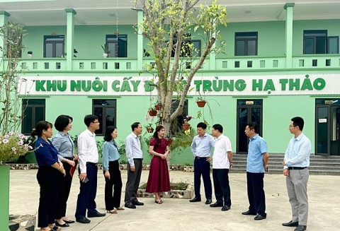 ocop va khuyen cong giup san pham cat canh