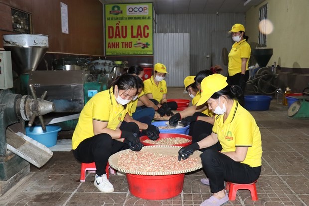 Các cơ sở sản xuất kinh doanh của hội viên Hội phụ nữ Hà Tĩnh tạo việc làm cho lao động nữ địa phương. Ảnh: Hoàng Ngà - TTXVN