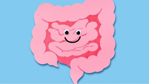 ban co biet he than kinh ruot giong nhu bo nao thu hai cua con nguoi