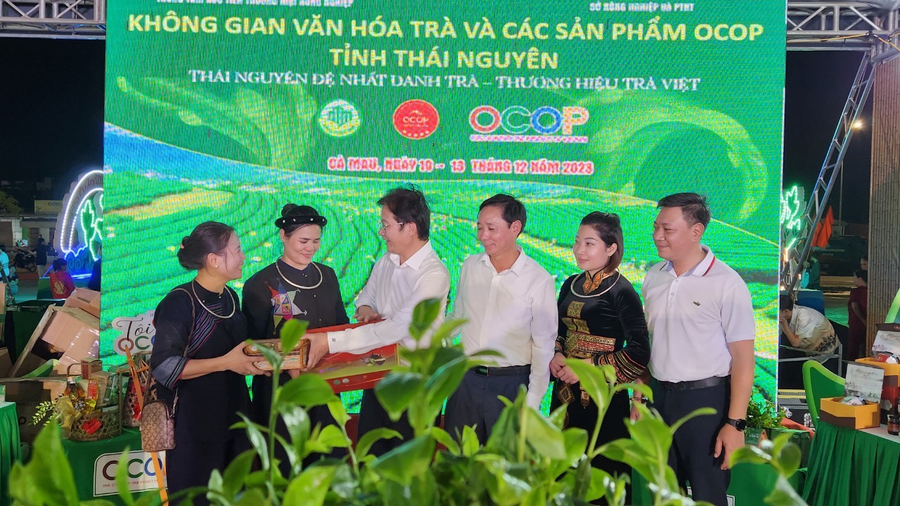 Đặc sản Trà Thái Nguyên: Hội tụ tinh hoa đất trời tại Đồng bằng sông Cửu Long