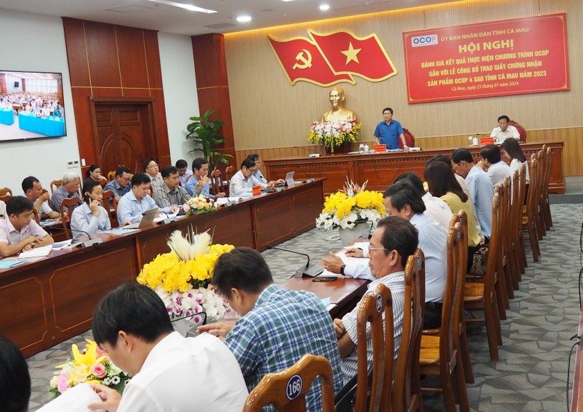 &Ocirc;ng L&ecirc; Văn Sử - Ph&oacute; Chủ tịch UBND tỉnh C&agrave; Mau, ph&aacute;t biểu kết luận Hội nghị.