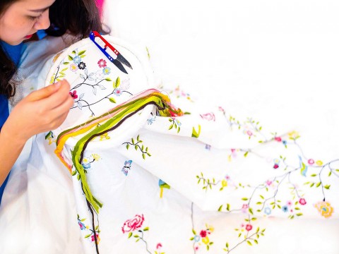 tinh hoa trong tung duong kim mui chi