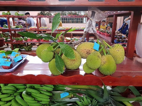 Sản phẩm OCOP khẳng định vị thế, mang về lợi ích kinh tế kép cho nông thôn