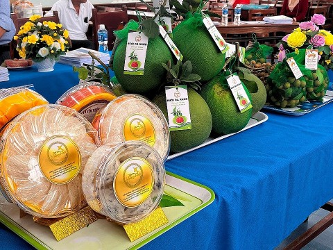 binh thuan sap dien ra tuan le trien lam san pham dac trung san pham ocop