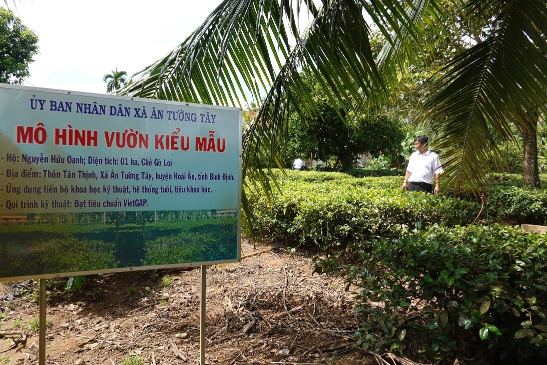 Bình Định: Hoài Ân hướng tới Ngày hội nông sản