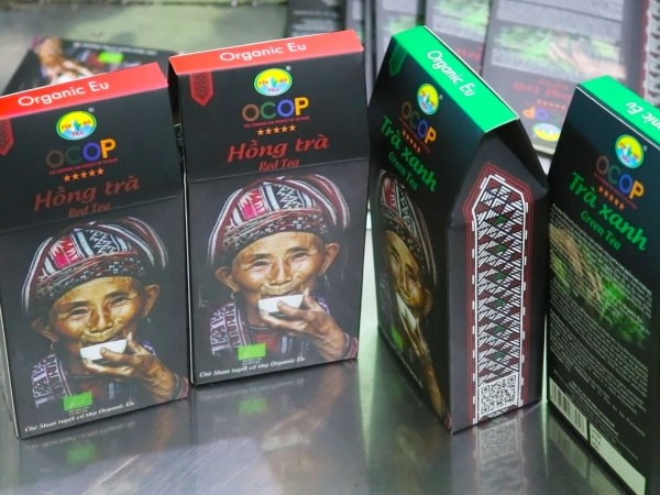 Trà xanh hộp và Hồng trà hộp Hoàng Su Phì, Hà Giang đạt tiêu chuẩn OCOP 5 sao cấp quốc gia