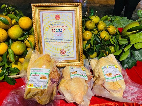 Thịt gà tươi, sản phẩm OCOP dạt tiêu chuẩn 3 sao cấp tỉnh của Công ty THHH Xuất nhập khẩu Hà Giang