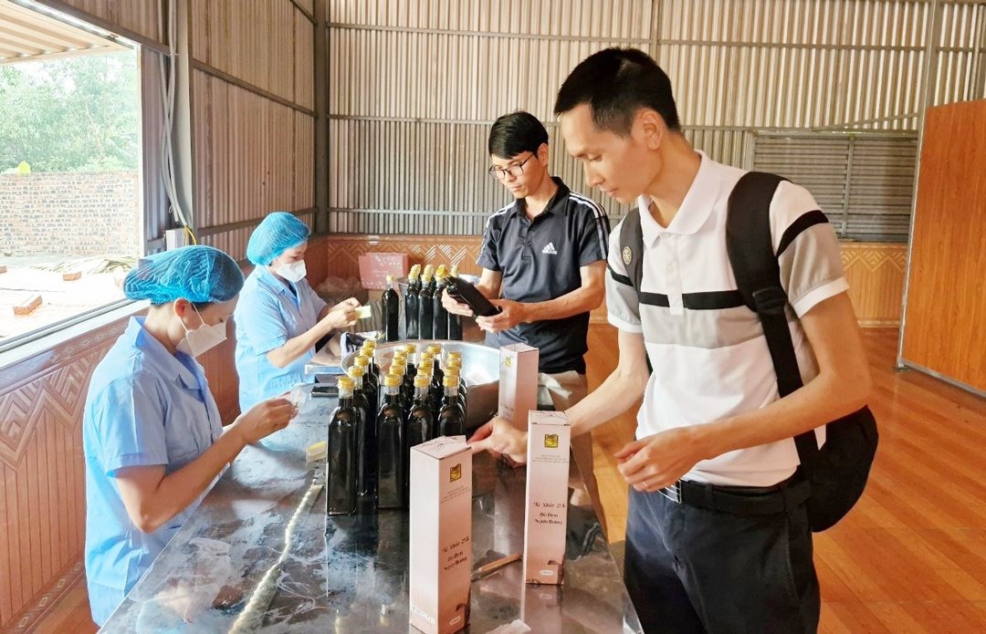 Người tiêu dùng tìm hiểu sản phẩm nước xì dầu 2S đậu đen - ngưu bàng của Hợp tác xã Bảo tồn và Phát triển dược liệu Sóc Sơn (huyện Sóc Sơn). Ảnh: Hoàng Sơn