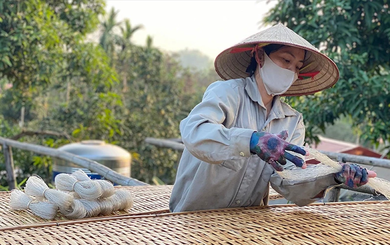 Sản phẩm OCOP 4 sao của làng nghề sản xuất miến đao Giới Phiên Sản phẩm OCOP 4 sao của làng nghề sản xuất miến đao Giới Phiên