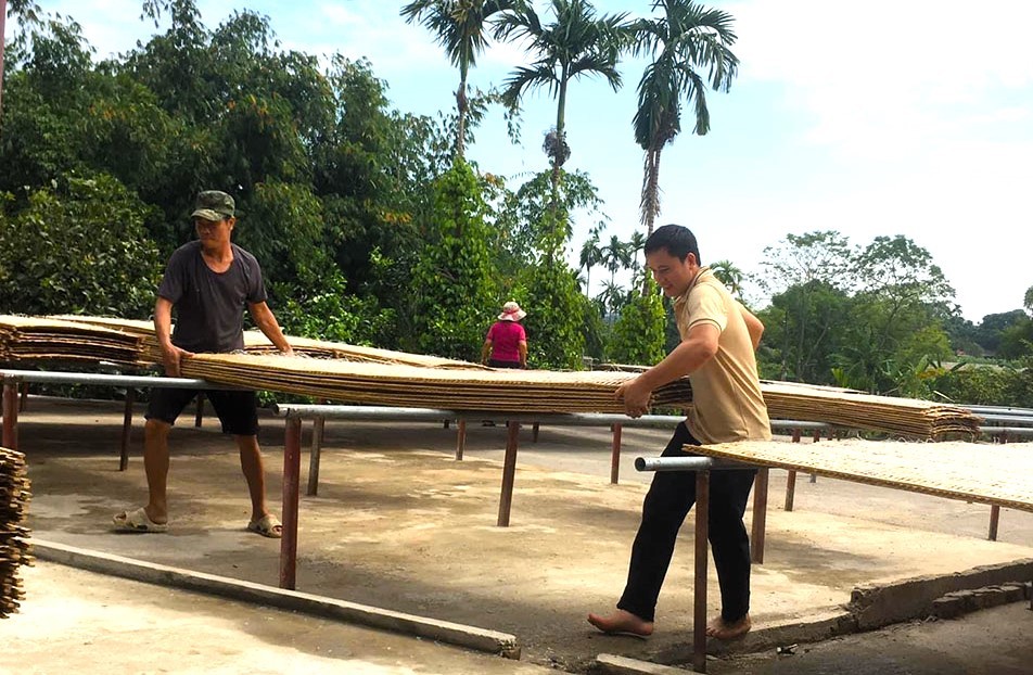 Sản phẩm OCOP 4 sao của làng nghề sản xuất miến đao Giới Phiên Sản phẩm OCOP 4 sao của làng nghề sản xuất miến đao Giới Phiên