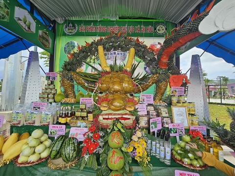 binh dinh thu phu nong san hoai an ron rang ngay hoi nong san
