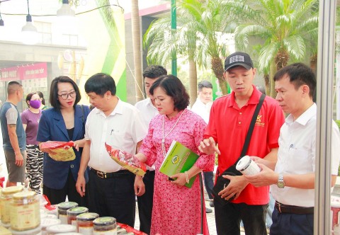 ha dong khai mac tuan hang tu van gioi thieu va xuc tien tieu thu san pham ocop lang nghe nong san thuc pham an toan nam 2024