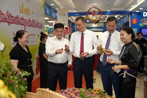 Mận hậu Sơn La hút khách tại Thành phố Hồ Chí Minh