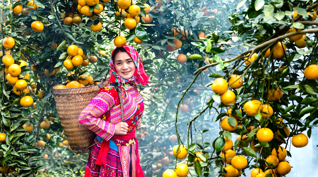 Hà Giang: “Khơi dòng” phát triển du lịch nông thôn thông qua các sản phẩm nông nghiệp