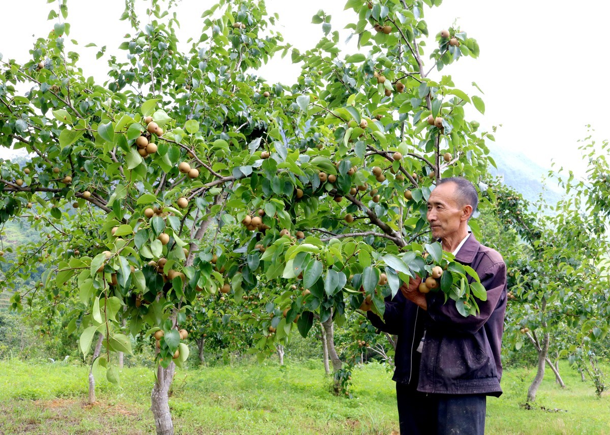 Hà Giang: “Khơi dòng” phát triển du lịch nông thôn thông qua các sản phẩm nông nghiệp