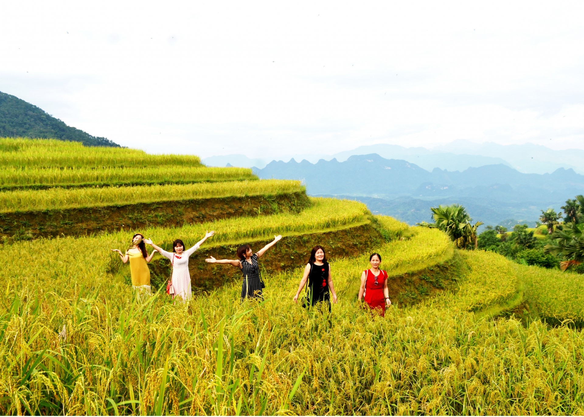 Hà Giang: “Khơi dòng” phát triển du lịch nông thôn thông qua các sản phẩm nông nghiệp