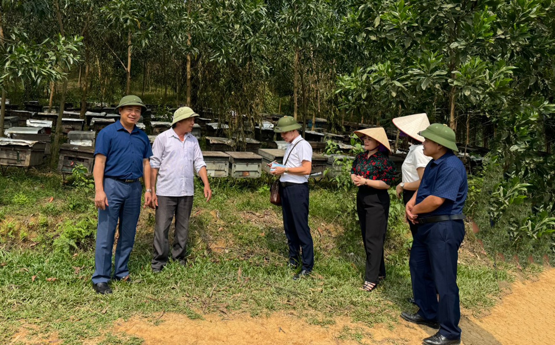 Ngọt ngào hương vị mật ong rừng Mỹ Thuận Ngọt ngào hương vị mật ong rừng Mỹ Thuận