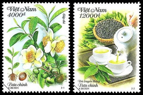 bo tem cay che gioi thieu van hoa thuong tra cua nguoi viet